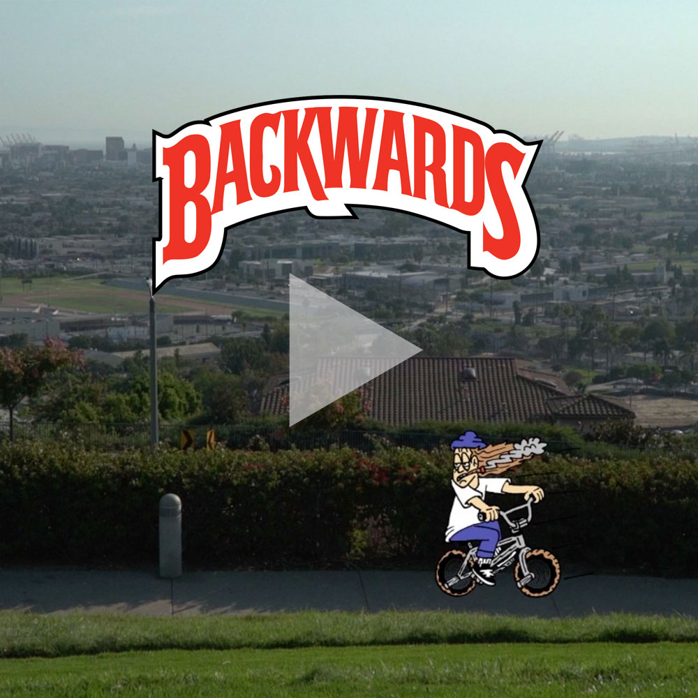 BackwardsVideoButton